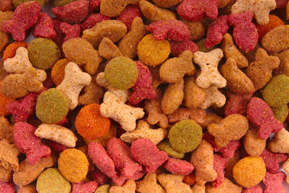 24 Bad Dog Food Ingredients to Avoid